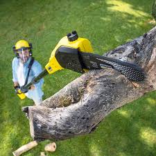Best Utility Line Clearance  in Vaughn, WA